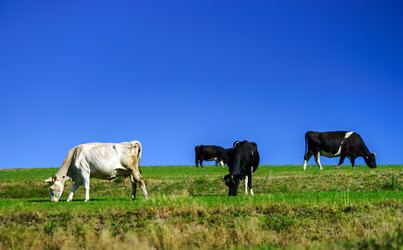 Similar image 10765172