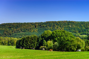 Similar image 10765174