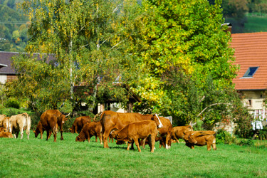 Similar image 10765181