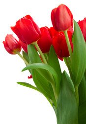 Similar image 10765185