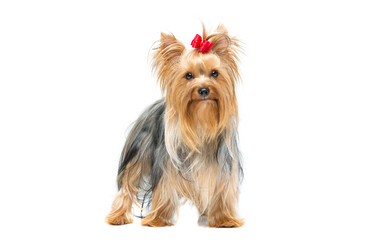 Similar image 10765573