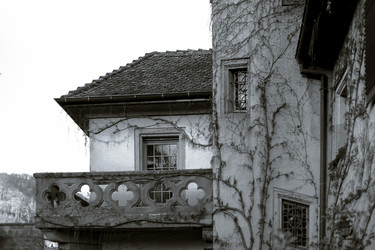 Similar image 10765638