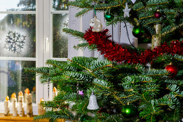 Similar image 10765692