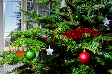 Similar image 10765709