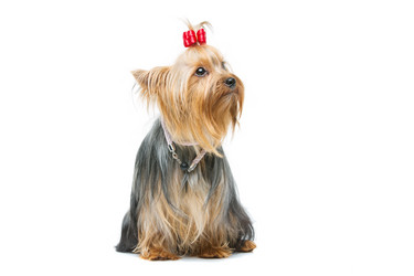 Similar image 10765781