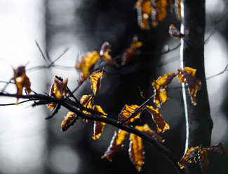 Similar image 10765866