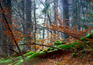 Similar image 10765868