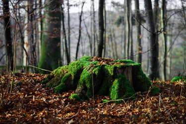 Similar image 10765870