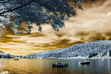 Similar image 10765913