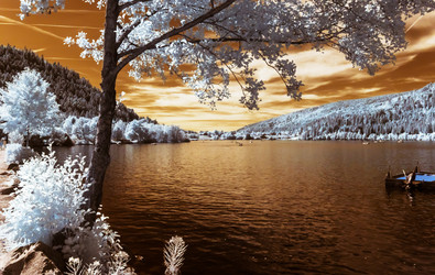 Similar image 10765919