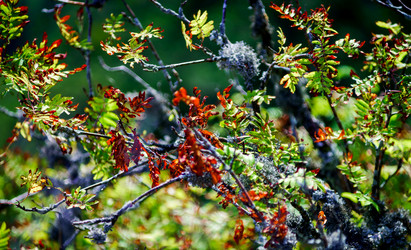 Similar image 10765923