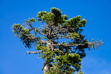 Similar image 10765924