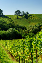 Similar image 10766025