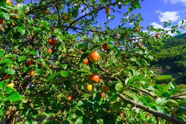 Similar image 10766036