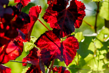 Similar image 10766043