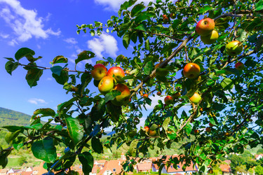 Similar image 10766048