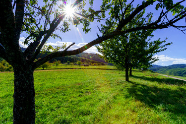 Similar image 10766049