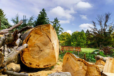 Similar image 10766126