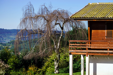 Similar image 10766131