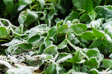 Similar image 10766138