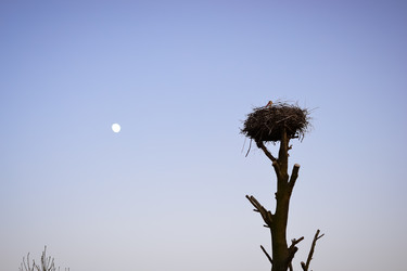 Similar image 10766256