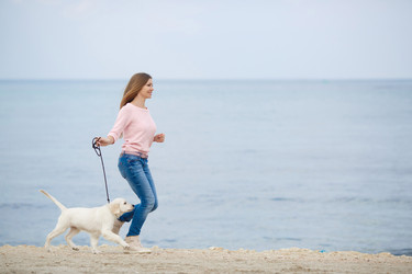 Similar image 10766709