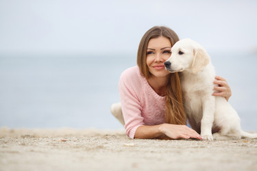 Similar image 10766714