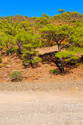 Similar image 10766882