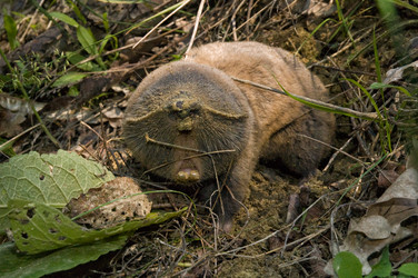 Similar image 10766884