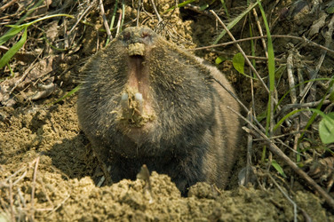 Similar image 10766920