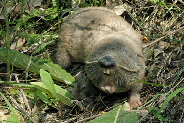 Similar image 10766922