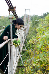 Similar image 10767217