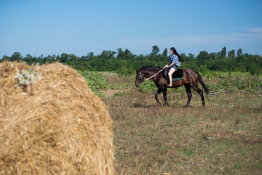 Similar image 10767225