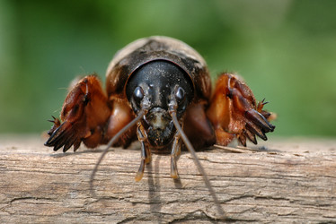 Similar image 10767274