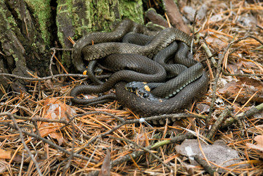 Similar image 10767276