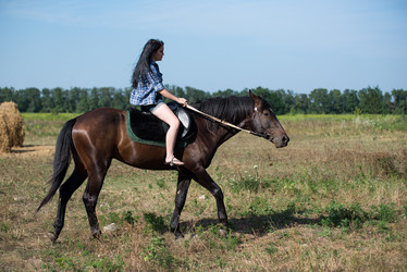 Similar image 10767306