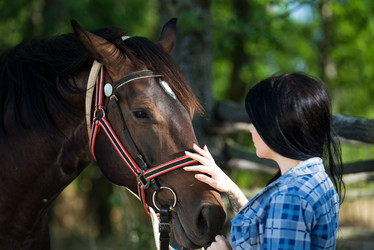 Similar image 10767538