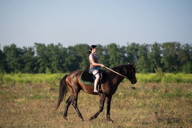 Similar image 10767585