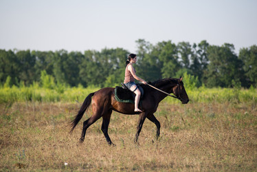 Similar image 10767644