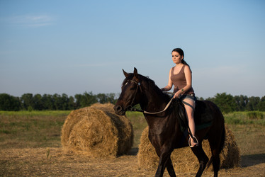 Similar image 10767645