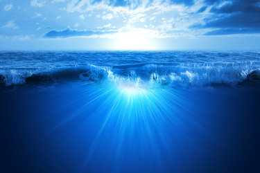 Similar image 10769901