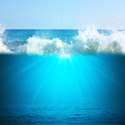 Similar image 10769903