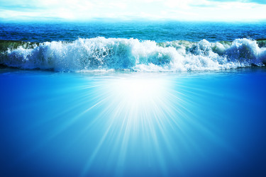 Similar image 10769909