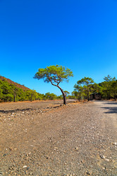 Similar image 10770075