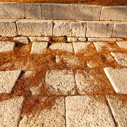 Similar image 10770082