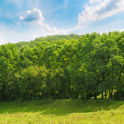 Similar image 10774279