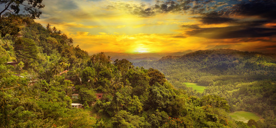 Similar image 10774338