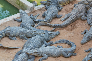 Similar image 10774396