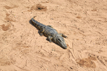 Similar image 10774401