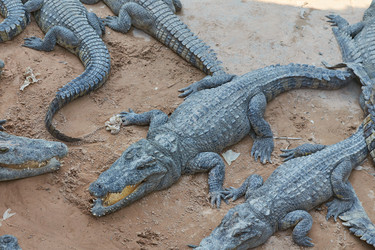 Similar image 10774402